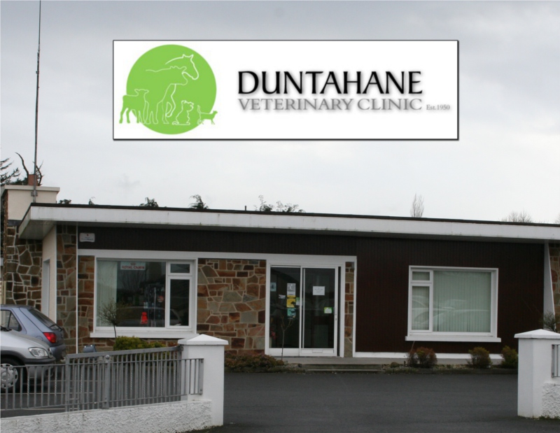 Duntahane Veterinary Clinic