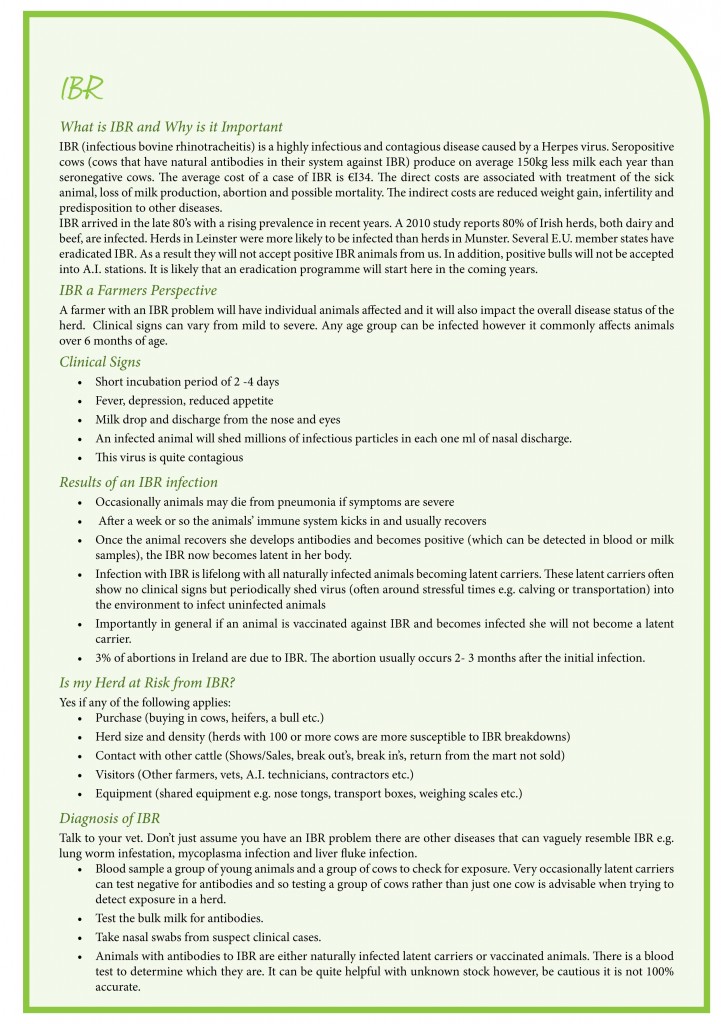 proof1_duntahane_issue 8 newsletter-2