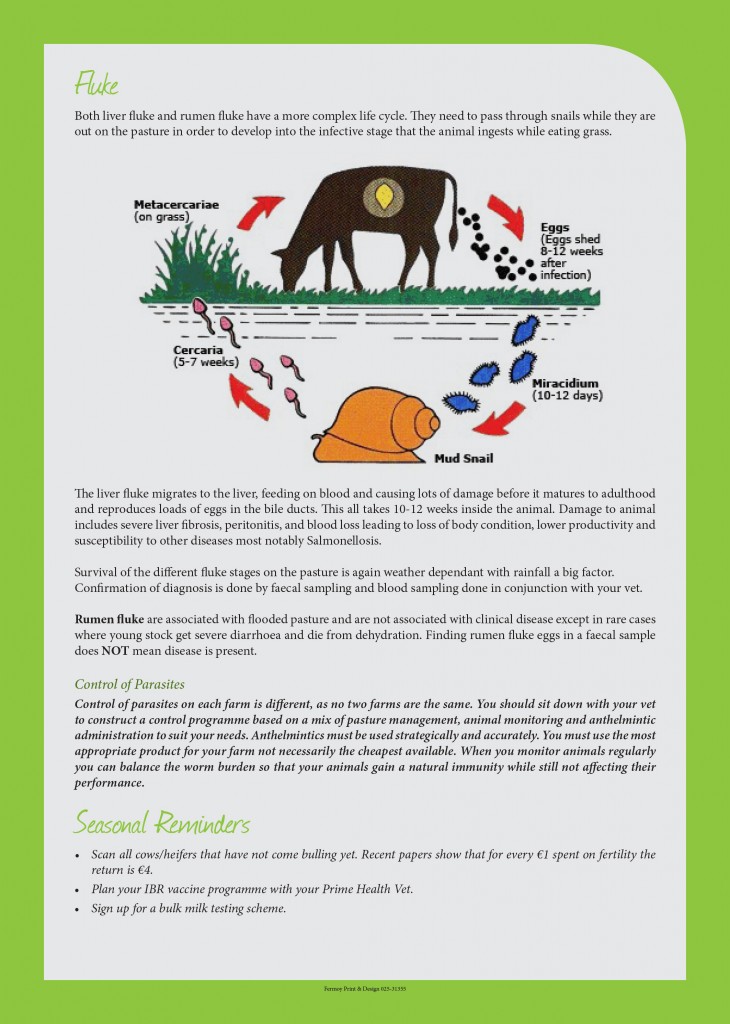 print_PRIME HEALTH_issue 10 may 13 newsletter-4