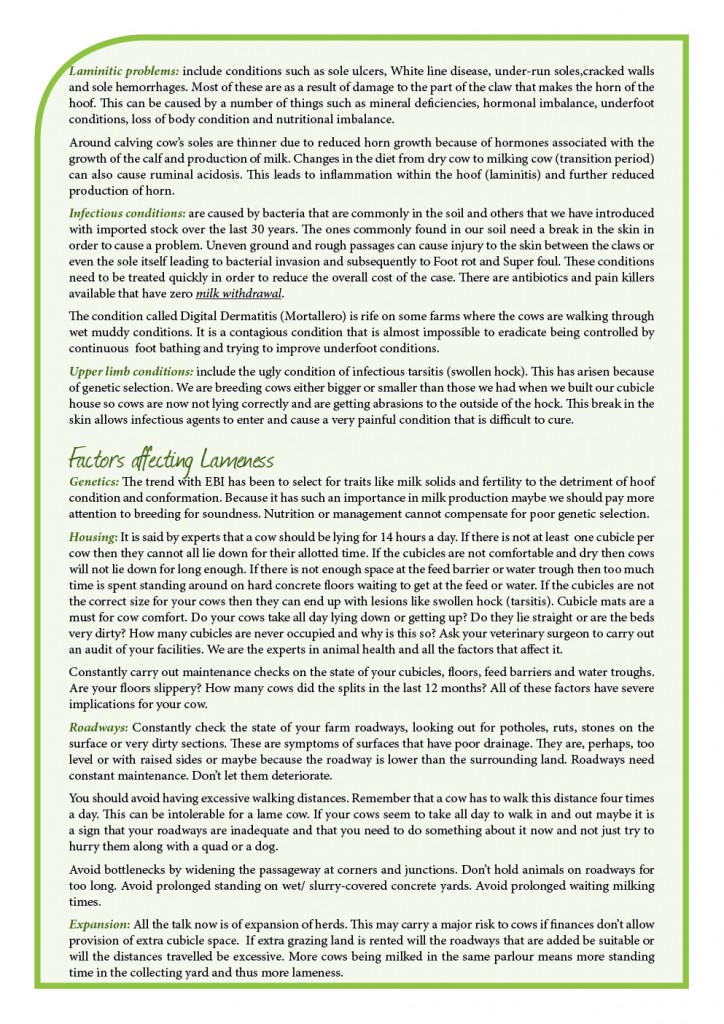 print__duntahane_issue 15sept 14 newsletter3