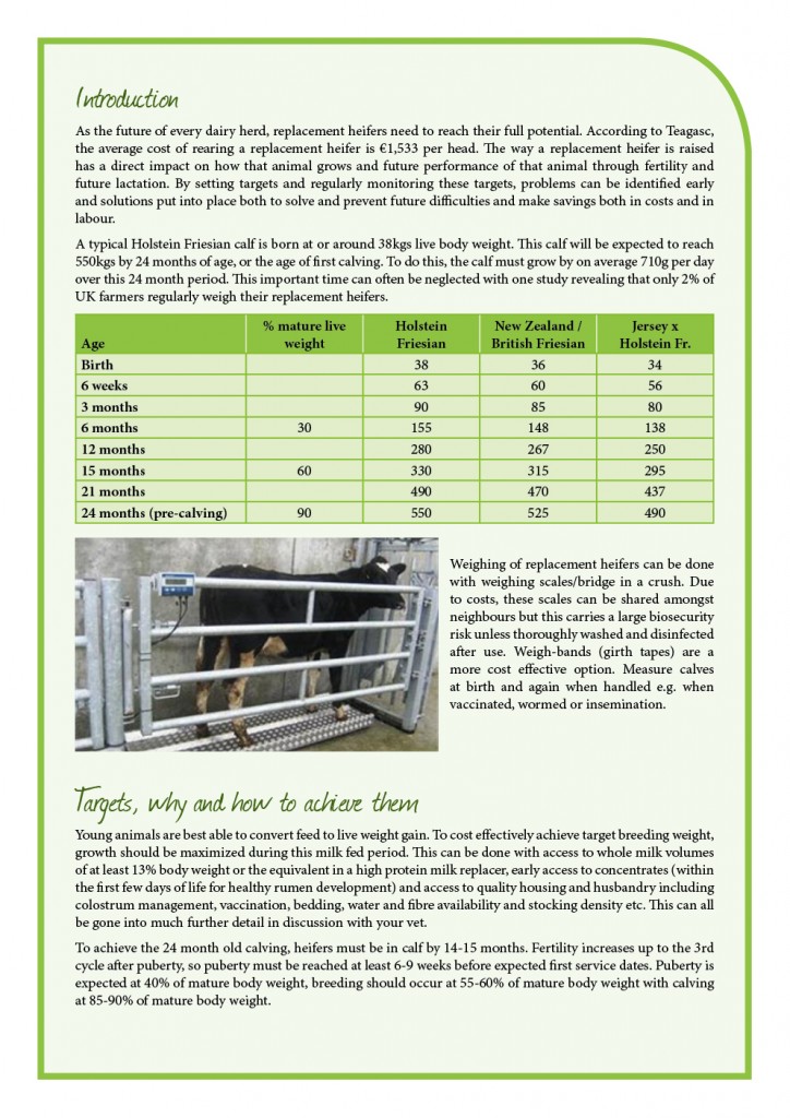 print_duntahane_issue 18 june 15 newsletter2