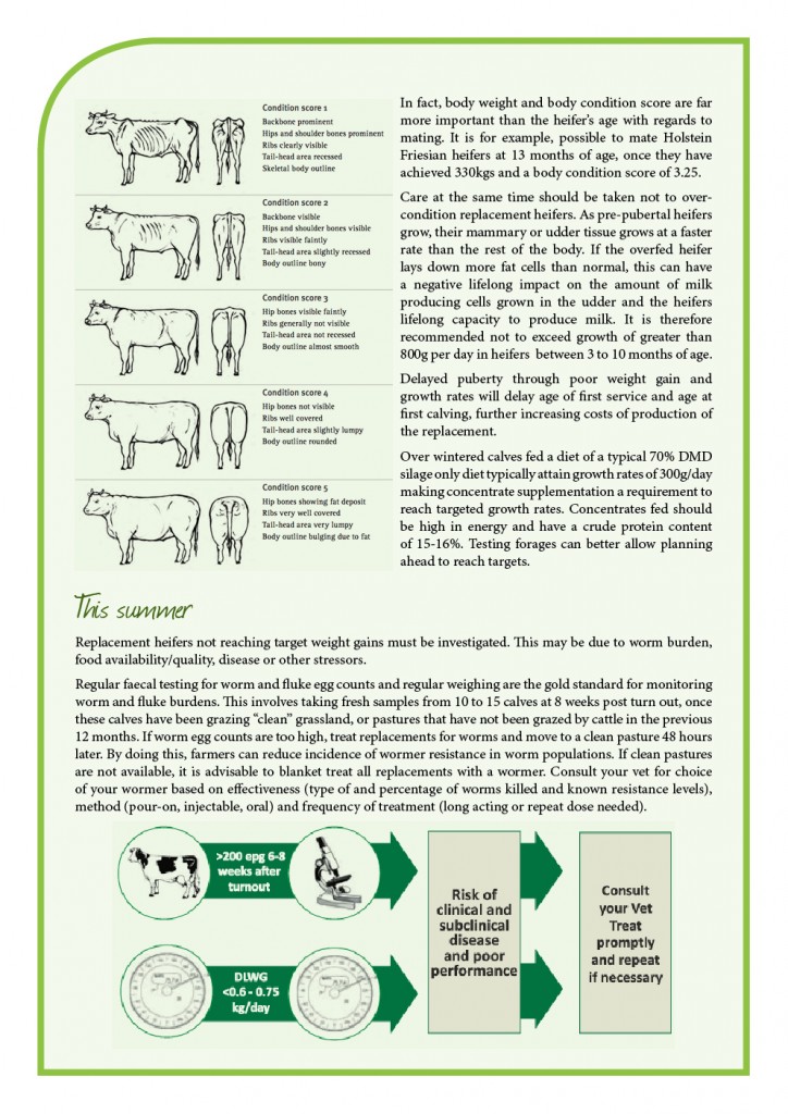 print_duntahane_issue 18 june 15 newsletter3