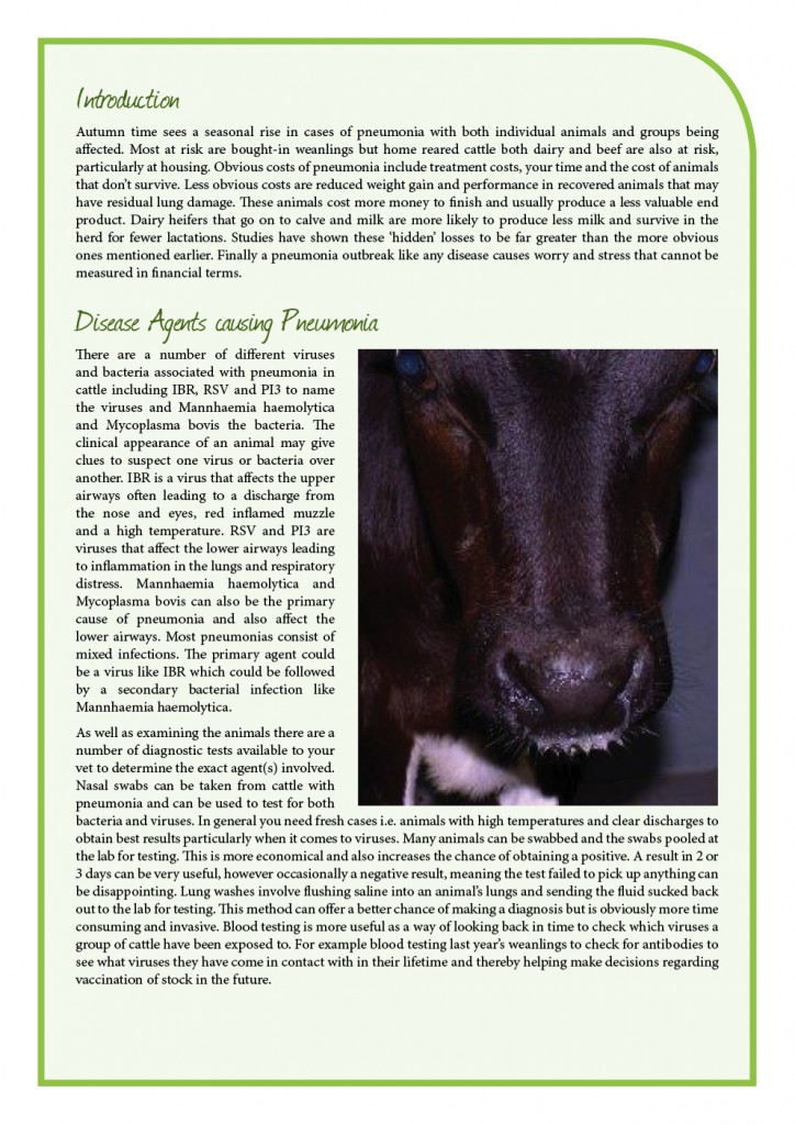 print_duntahane_issue 19 sept 15 newsletter2